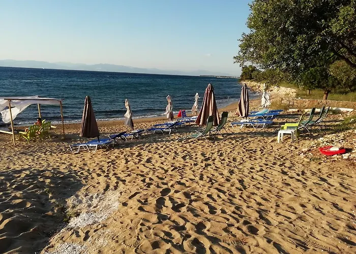Marti Σκάλα Σωτήρος